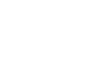 MRS academy logo